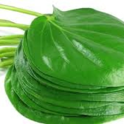 बासी मुंह सुबह चबाकर खा लें ये एक पत्ता, इन समस्याओं में झट से मिलेगा आराम