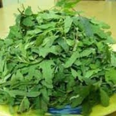 बथुआ : कई लाइलाज रोगो का एकलौता चमत्कारी समाधान